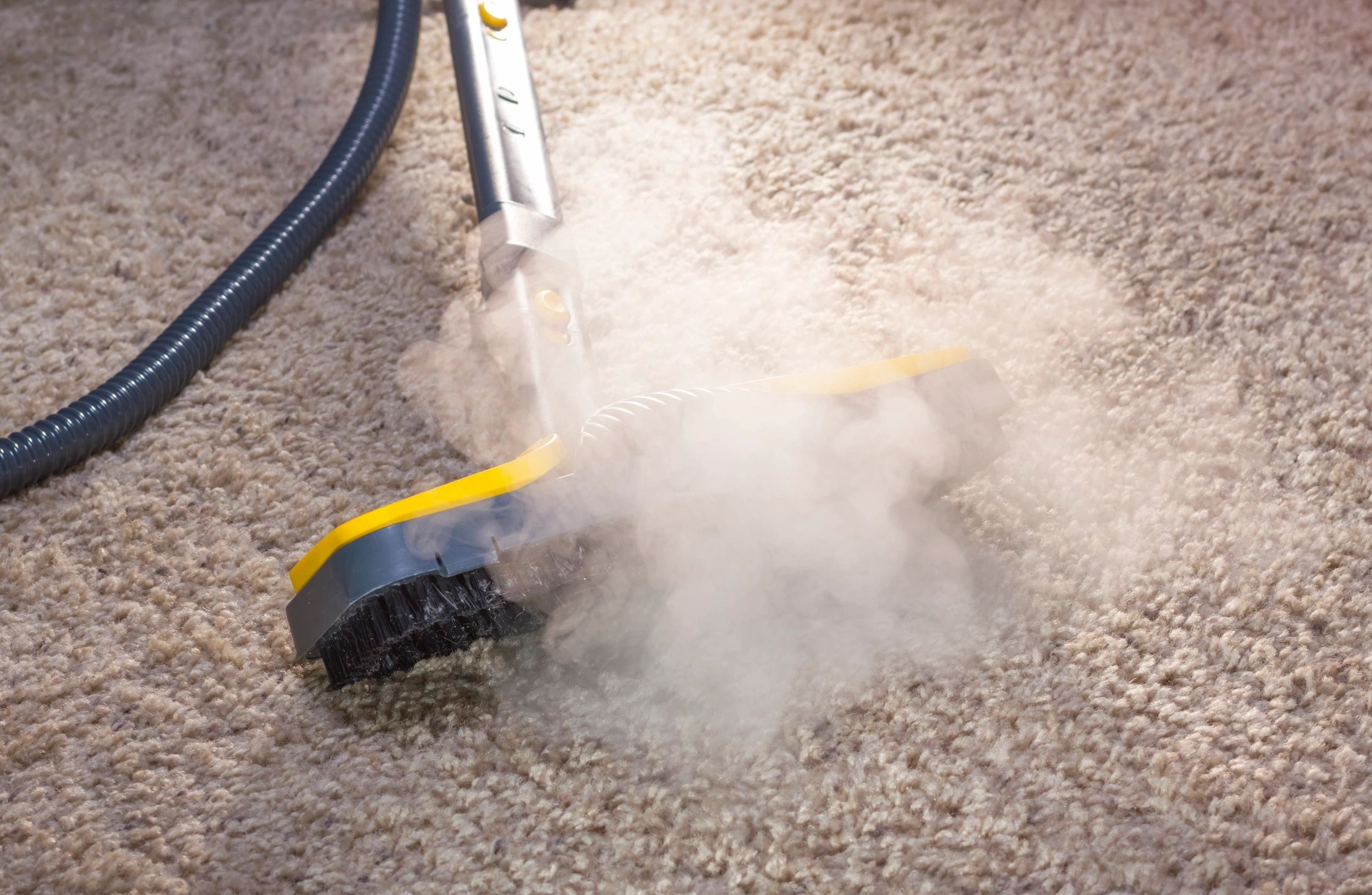 Carpet Cleaning in Bloomfield Hills, MI