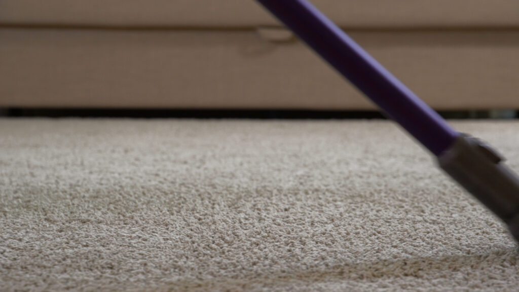 Carpet Cleaning