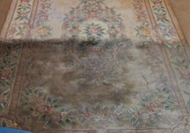 area rug cleaning (1)